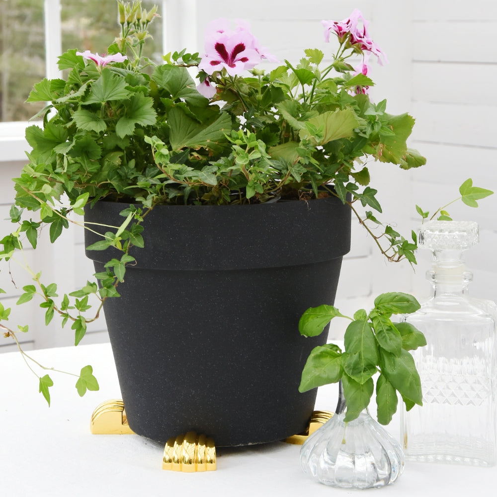 Black plant pot elevated on gold POT PAWS pot feet to improve drainage and protect surfaces