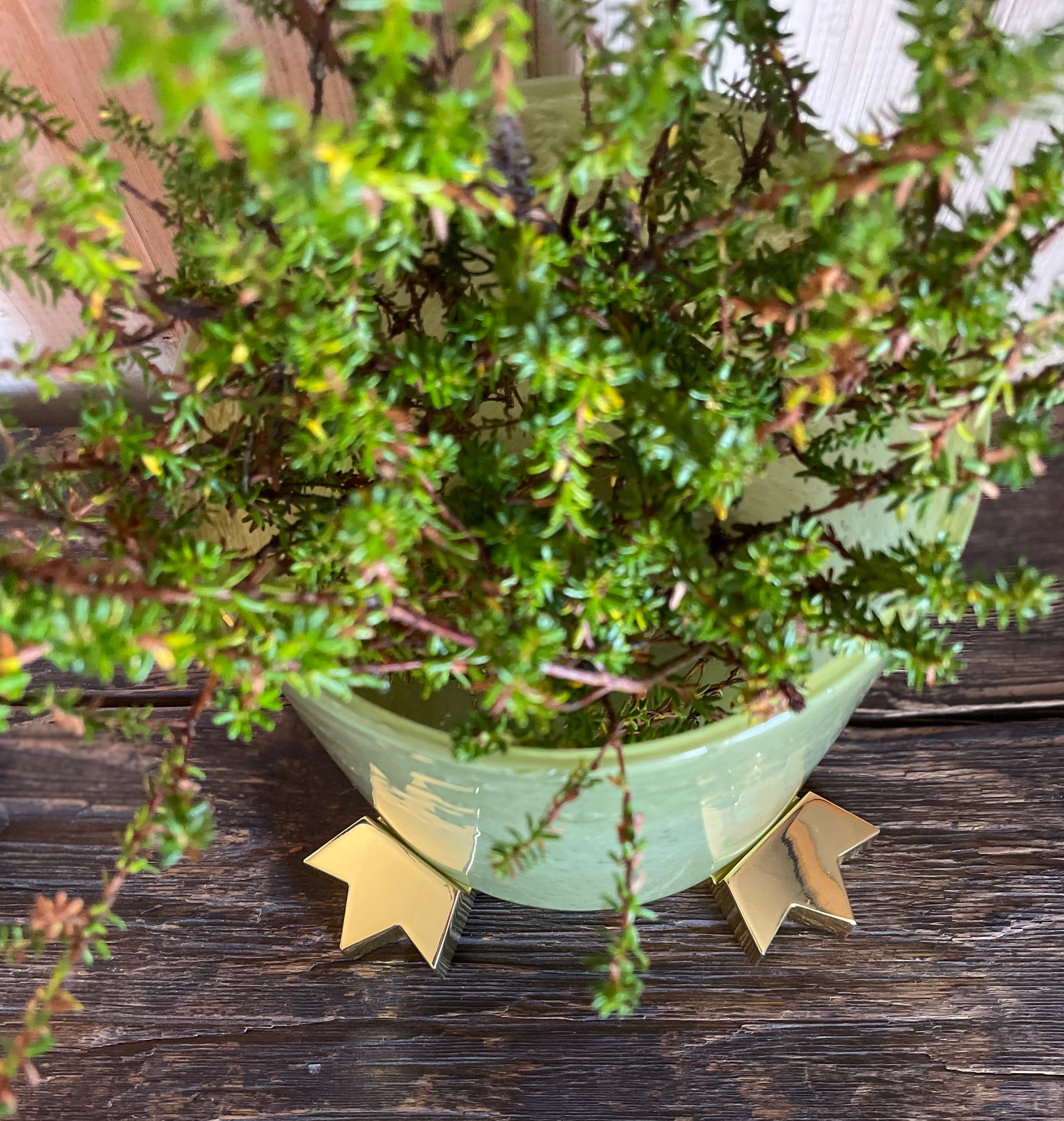 Green ceramic plant pot raised on gold POT PAWS arrow-shaped pot feet