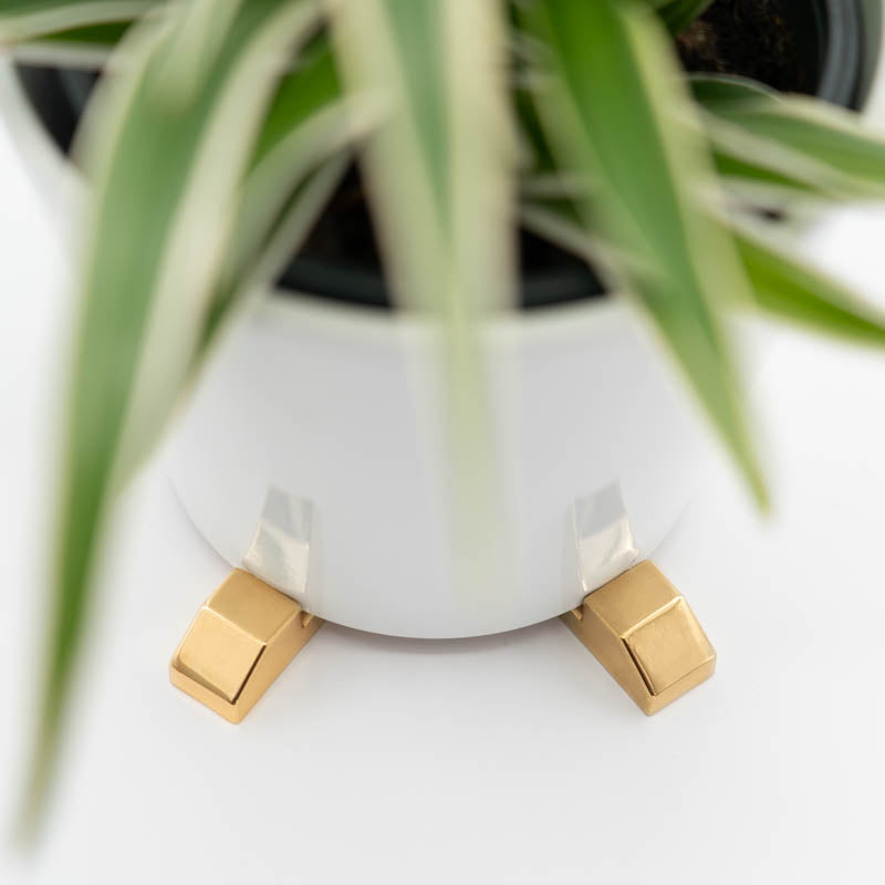 White plant pot elevated with gold POT PAWS pot feet