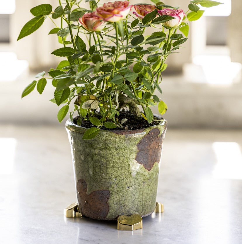 Green ceramic plant pot elevated on gold heart-shaped POT PAWS pot feet for drainage and surface protection