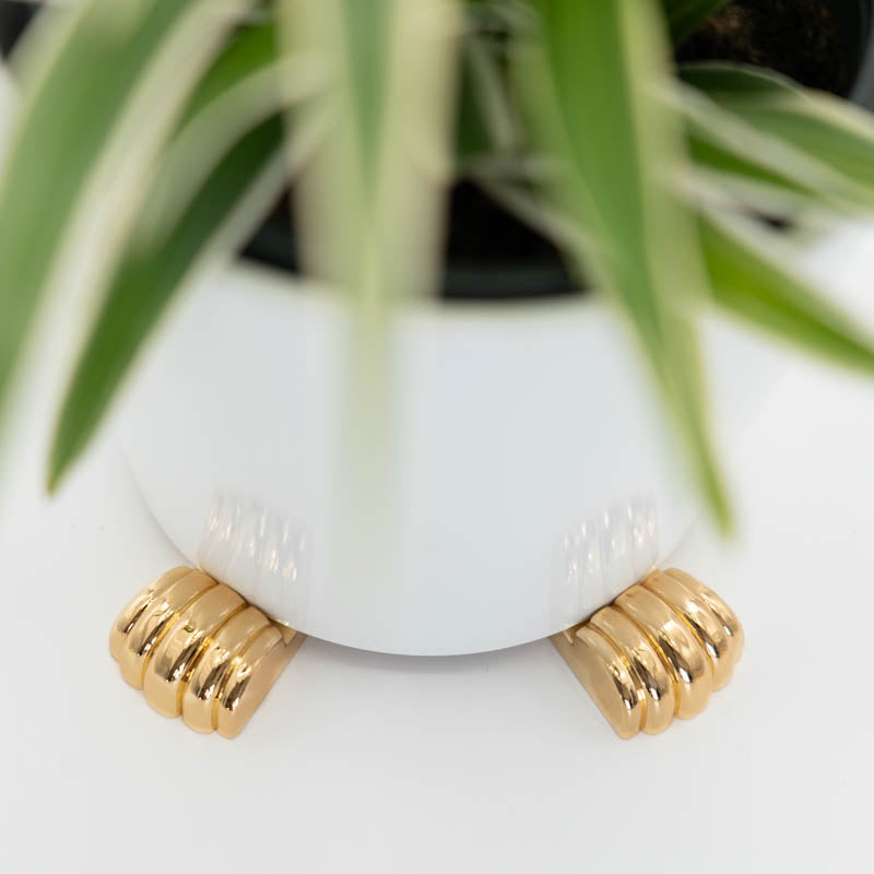 White plant pot elevated with gold POT PAWS pot feet on a wooden surface