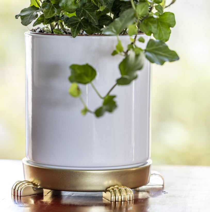 White plant pot elevated with gold POT PAWS pot feet on a wooden surface