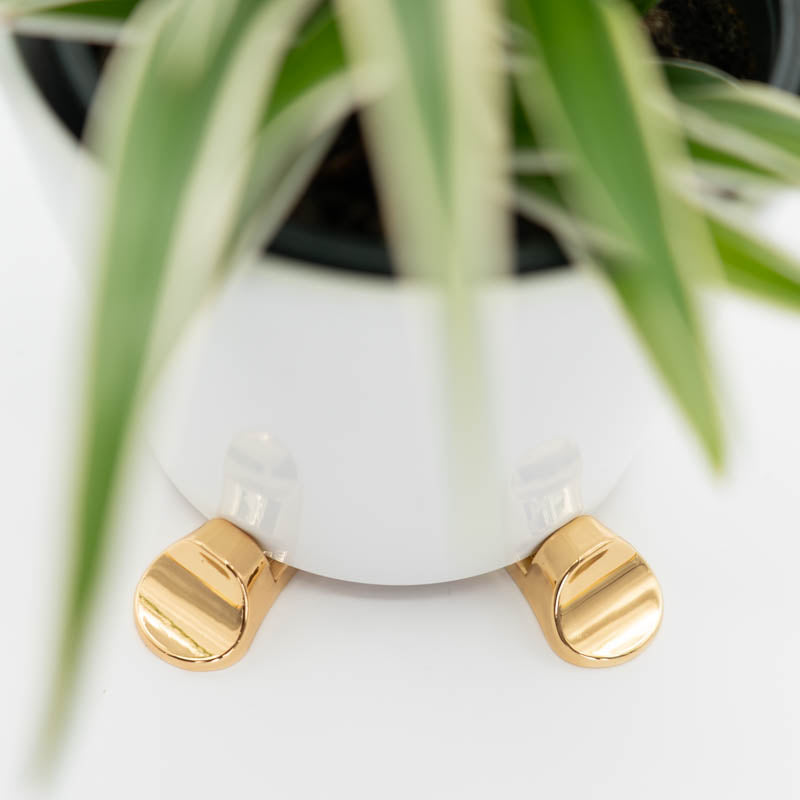 ecorative indoor plant pot elevated with gold POT PAWS pot feet on a styled tabletop