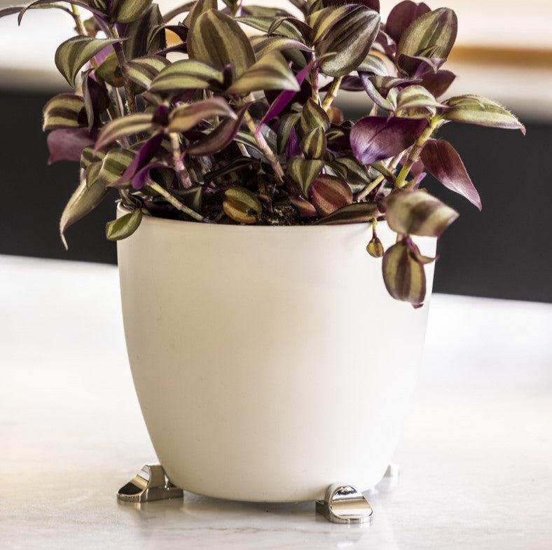 ecorative indoor plant pot elevated with gold POT PAWS pot feet on a styled tabletop