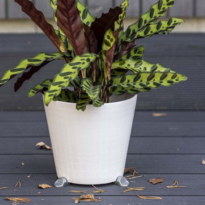 Decorative outdoor plant pot elevated with silver POT PAWS pot feet